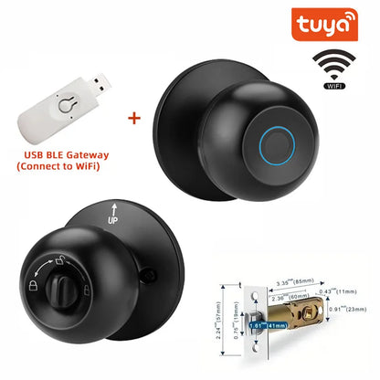 Biometric Fingerprint / Password/ APP/ Card/ Smart Door Lock - Keyless Security