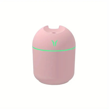 Portable 250ml Mini Spray Mist Humidifier - USB Aroma Diffuser