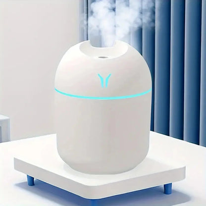 Portable 250ml Mini Spray Mist Humidifier - USB Aroma Diffuser