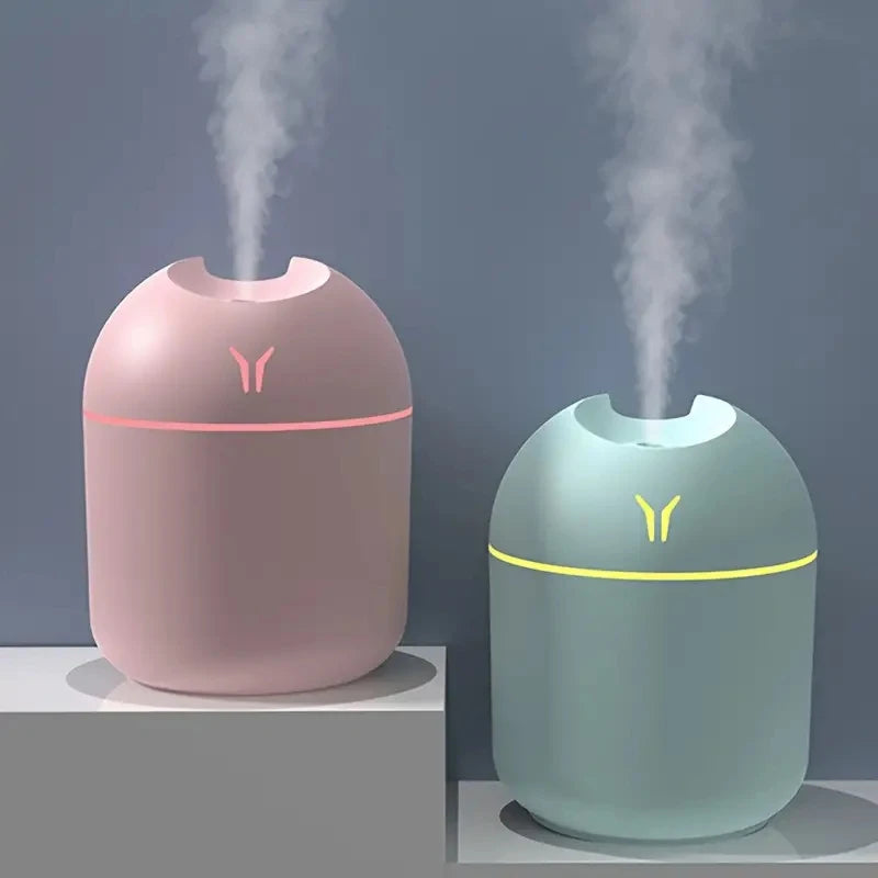 Portable 250ml Mini Spray Mist Humidifier - USB Aroma Diffuser